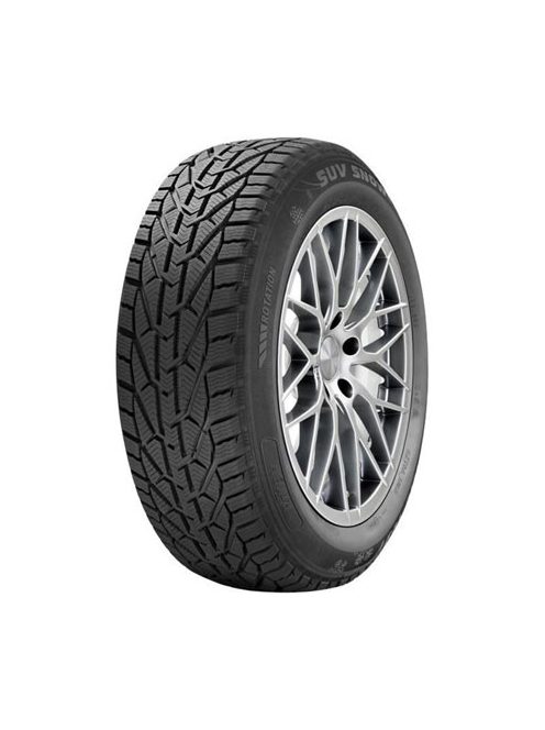 Riken 195/55 R16 87h Snow Gumiabroncs
